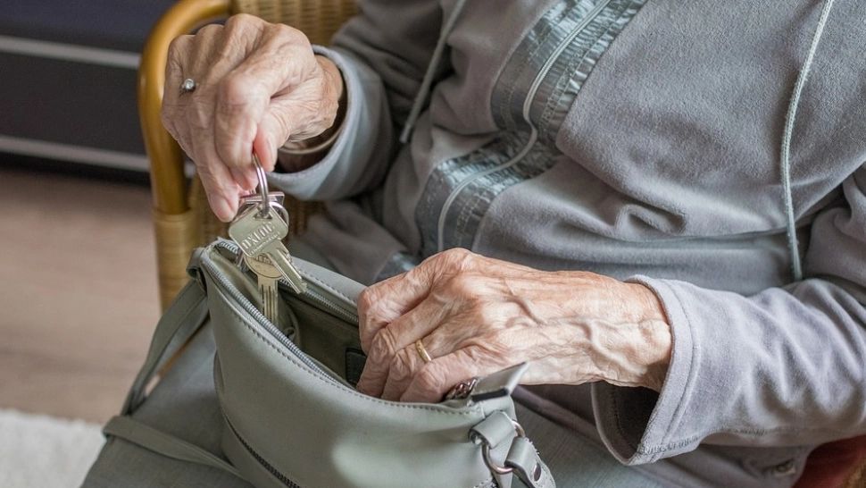 Doi pensionari din Bârlad, experți în JAFURI din case de amanet