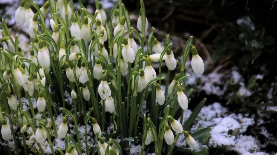 Prognoza meteo pe trei zile. Revin NINSORILE și frigul