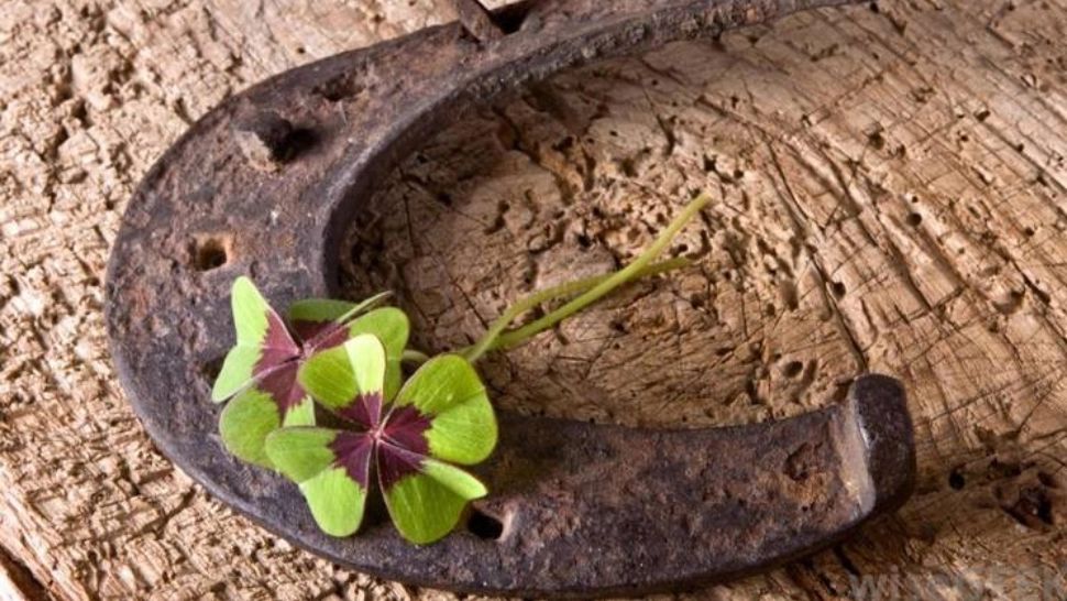 Horoscop 23 martie. Vin BANI, dar și probleme pentru două zodii. Nimic nu le merge cum au plănuit 