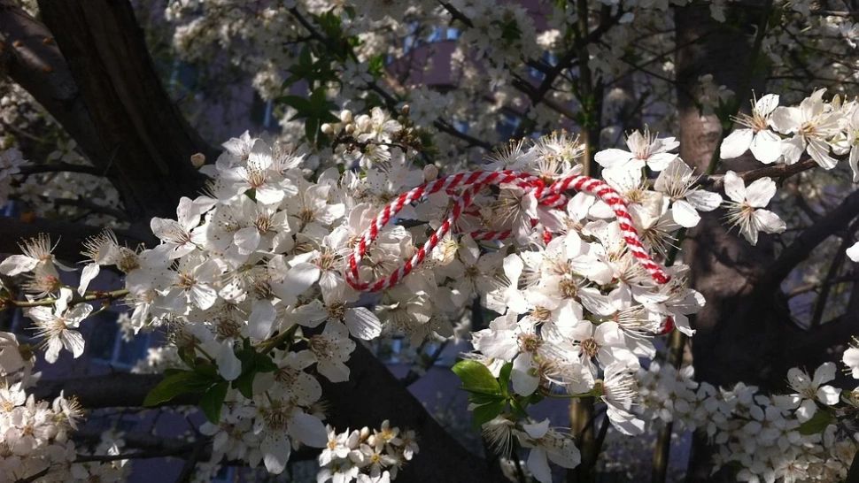 De ce șnurul mărțișorului este colorat în alb și roșu? Povestea uimitoare a celui mai îndrăgit simbol al primăverii