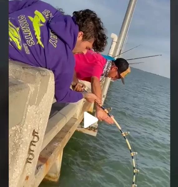 VIDEO – Trei bărbați s-au chinuit zeci de minute să scoată monstrul din apă – Cât de mare era peștele