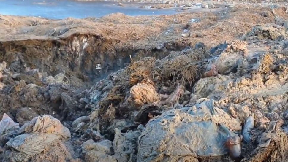 Ministrul Mediului, la "Legile Puterii": Mulți vor face pușcărie după dezastrul ecologic din localitatea Smârdan