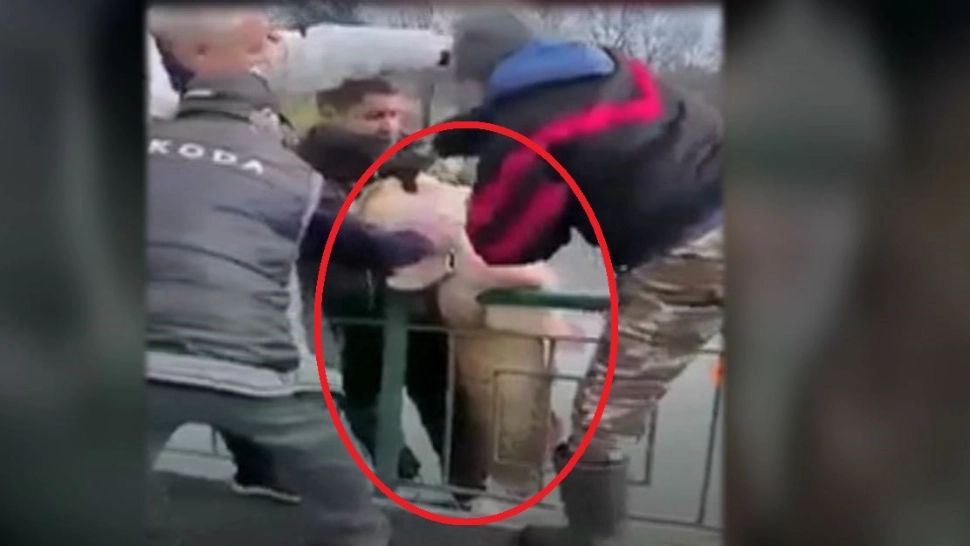 VIDEO - "Monstru" uriaș capturat din lacul unui parc din Craiova. De neînțeles cum a fost posibil