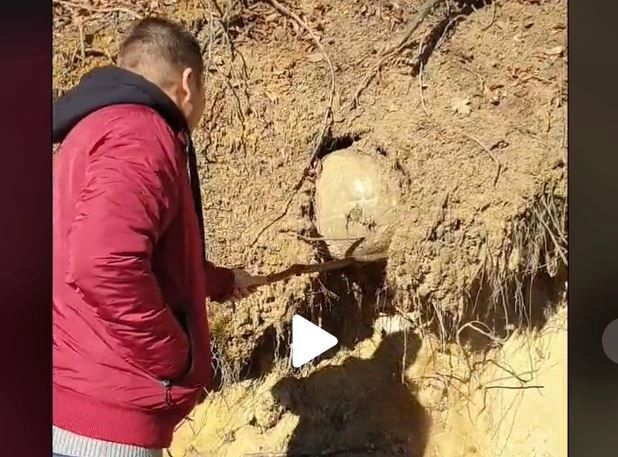 VIDEO - A văzut ceva suspect în pământ și a vrut să vadă ce e. A săpat cu un băț și a scos obiectul la lumină - Nu i-a venit să creadă ce forma are