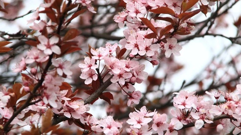 Prognoza meteo în perioada 26 aprilie - 9 mai. Cum va fi vremea de Paște