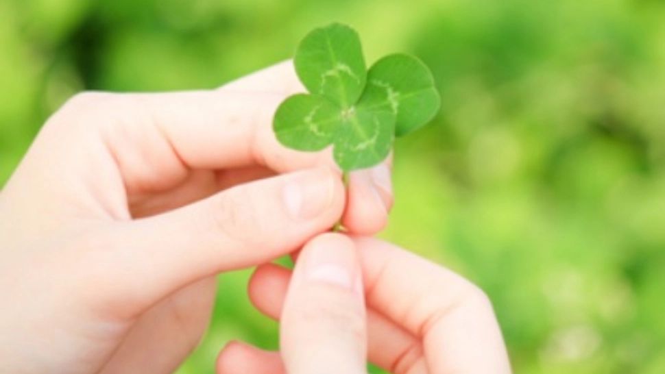 Horoscop 16 martie. Șanse de reușită pe plan financiar pentru două zodii 