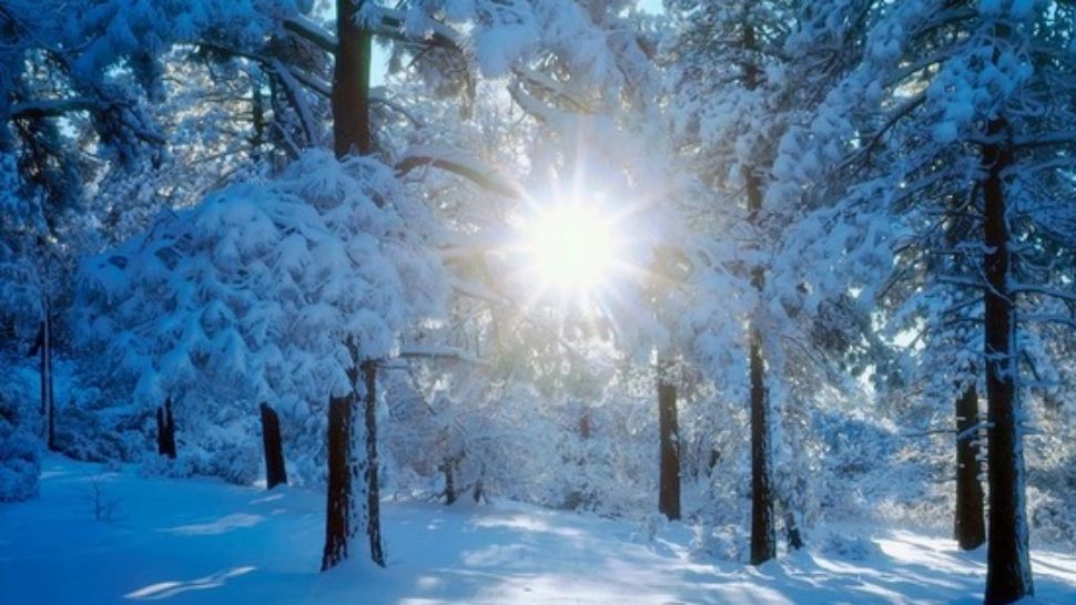 Prognoza meteo 22 martie. Vreme deosebit de rece, în toată țara: ninsori și vânt puternic 