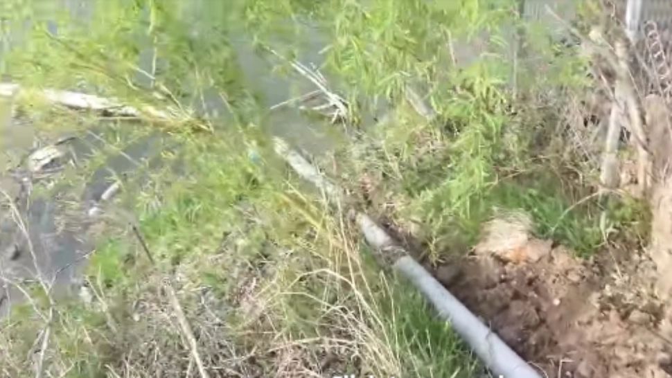 Dezastru ecologic lângă București. Dejecțiile din vilele de lux ajung direct în lac