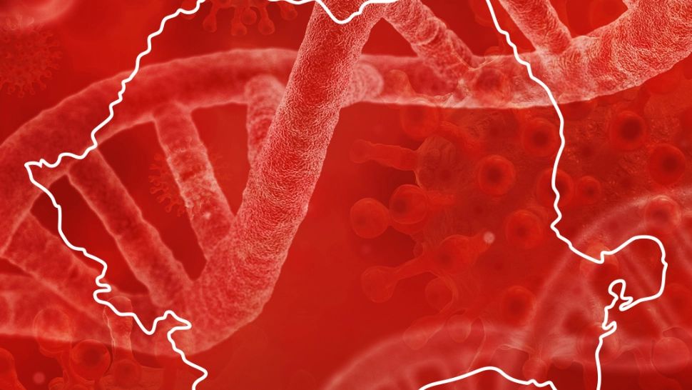 Aproape 40% din infectările COVID-19 din ultima săptămână au fost în 5 județe - Capitala, pe primul loc. UNDE au murit cei mai mulți români - DOCUMENT
