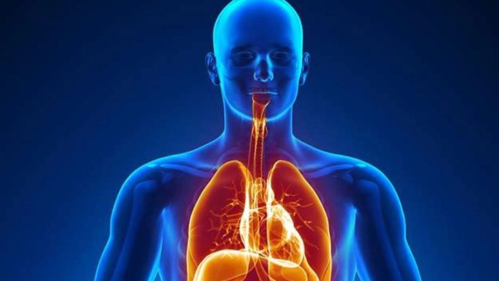 Misterul despre corpul uman care NU există încă în cărțile de biologie din școală 