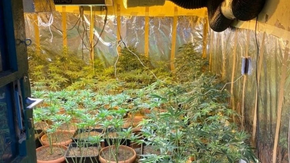 Ce au găsit mascații în casele unor traficanți de droguri din Arad