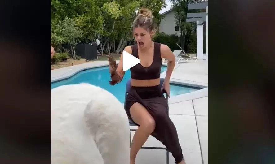 VIDEO – A legat-o la ochi și a pus-o să bage mâna în ceva ciudat. Când a văzut ce era, a început să țipe îngrozitor