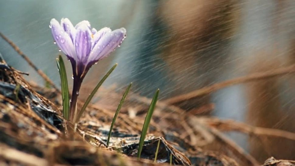 Prognoza meteo 19 aprilie. Vreme închisă și ploi pe arii extinse. Cum va fi vremea în Capitală