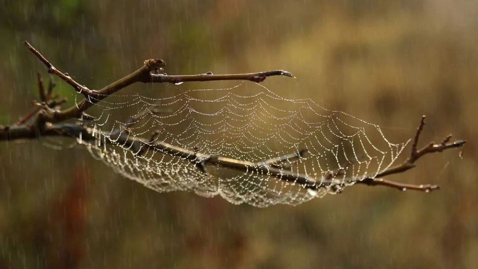 Prognoza meteo 20 aprilie. Vremea, din ce în ce mai rece: ploi pe arii extinse