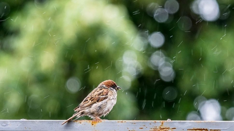 Prognoza meteo pe o lună: schimbări radicale. Cum va fi vremea până pe 17 mai - temperaturile scad dramatic 