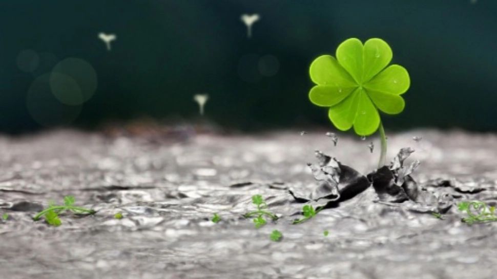 Horoscop 13 aprilie. Zodia care a tras lozul câștigător. Va fi ocolită toată ziua de ghinion