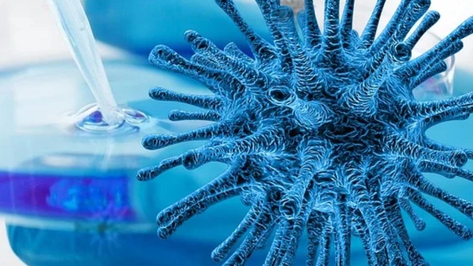 Reacțiile adverse după vaccinare arată NIVELUL anticorpilor dezvoltați împotriva Covid- studiu