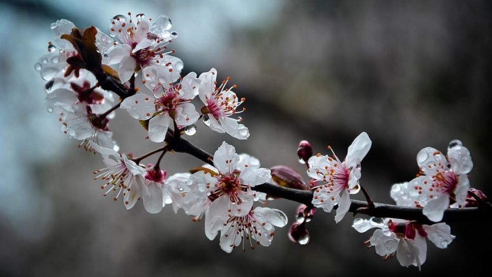 Prognoza meteo pe o lună: răcire accentuată - cum va fi vremea până pe 3 mai 