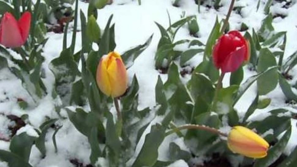 Prognoza meteo 9 aprilie. Vreme deosebit de rece, în toată țara: ploi și ninsori