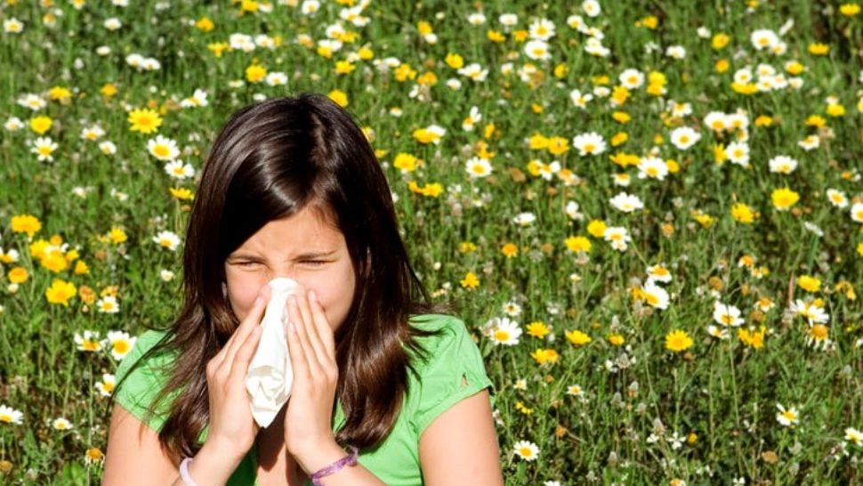 Alimentele care te pot proteja împotriva alergiilor și ameliorează simptomele