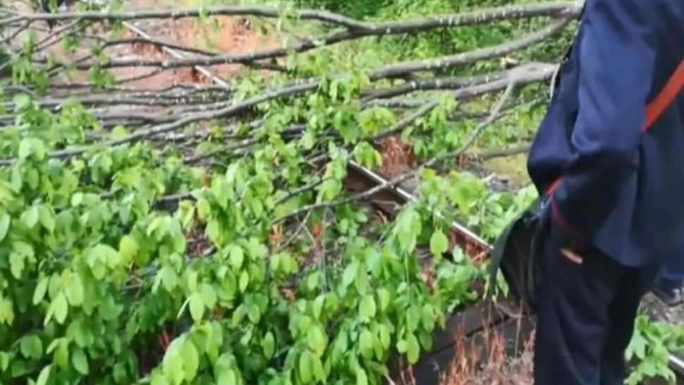 VIDEO/ Copaci căzuți pe calea ferată, trafic feroviar blocat