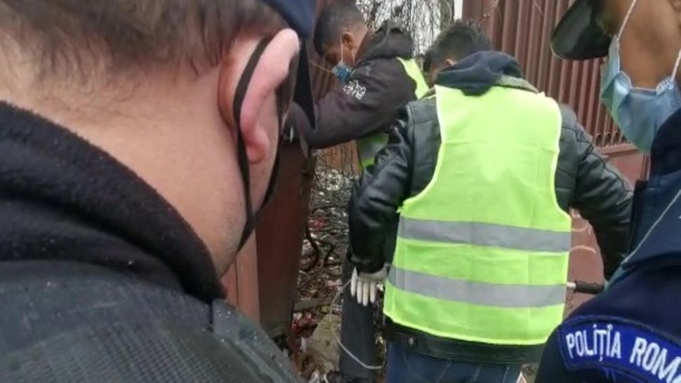 Percheziții pentru probarea unor fapte de CORUPȚIE în legătură cu infracțiuni la regimul silvic. Funcționari publici, în vizorul oamenilor legii