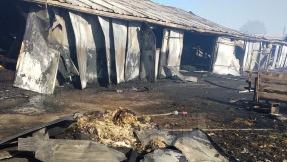 FOTO Tragedie într-o fermă din județul Suceava, zeci de vite au murit arse de vii