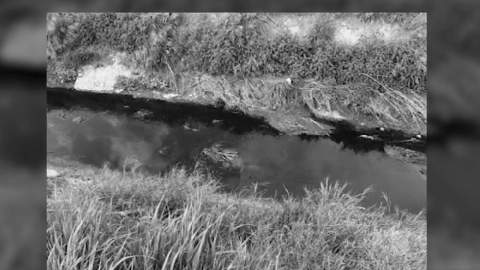 Dezastru ecologic: Sute de litri de sânge în râul Argeș. Cine se face vinovat de poluare