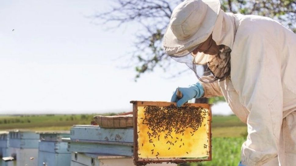 Tragedie în România: unul dintre cei mai mari oameni de afaceri, MORT după ce a fost înțepat de albine