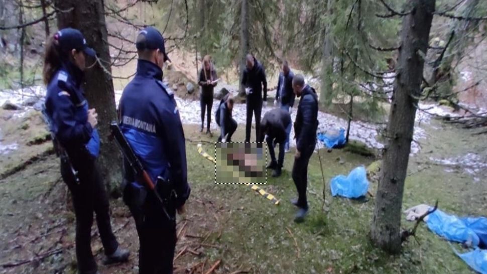 Imagini ȘOCANTE: Zeci de cadavre ale unor câini, găsite în Parcul Naţional Retezat. Poliția a deschis o ANCHETĂ