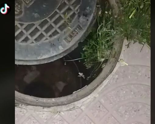 VIDEO – Ce au găsit niște români într-un canal – Se auzeau sunete ciudate și de frică l-au deschis cu un lemn, de la distanță