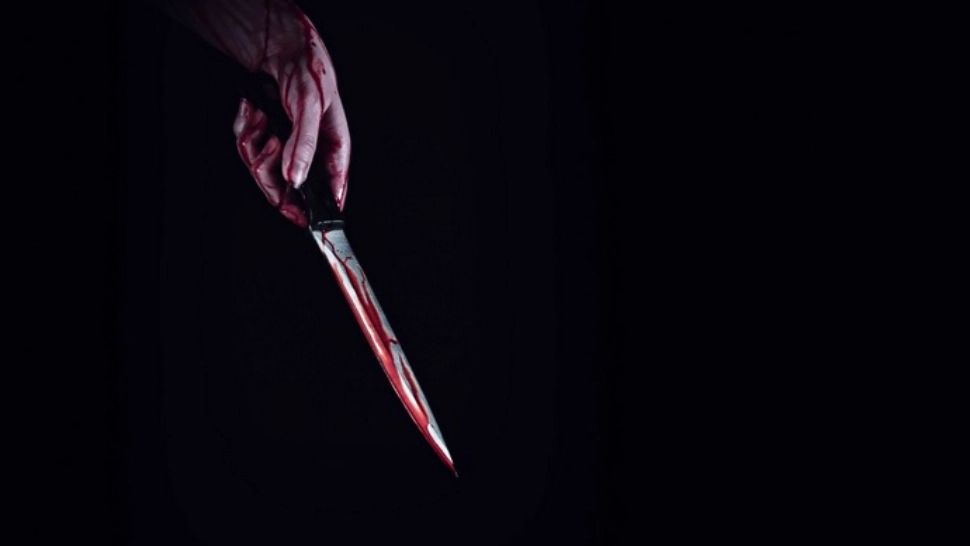 Un adolescent care și-a înjunghiat prietenul cu 70 de lovituri de cuțit, condamnat la 16 ani de închisoare. ÎNFIORĂTOR ce au descoperit anchetatorii