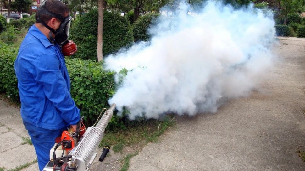 Primăria Capitalei intensifică acțiunile de dezinsecție în cartierele unde a fost semnalat țânțarul West Nile