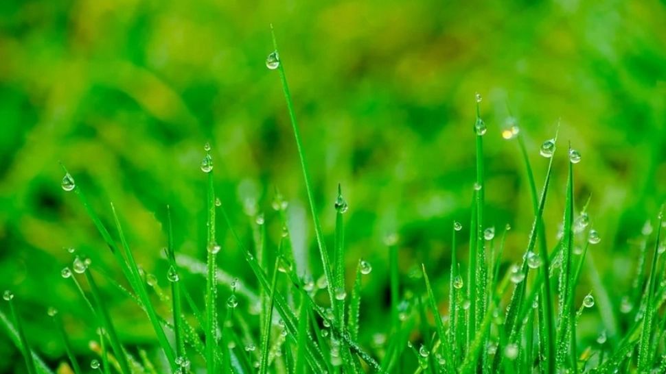 Prognoza meteo pe o lună: temperaturile scad dramatic, vin ploile. Cum va fi vremea până pe 28 IUNIE 