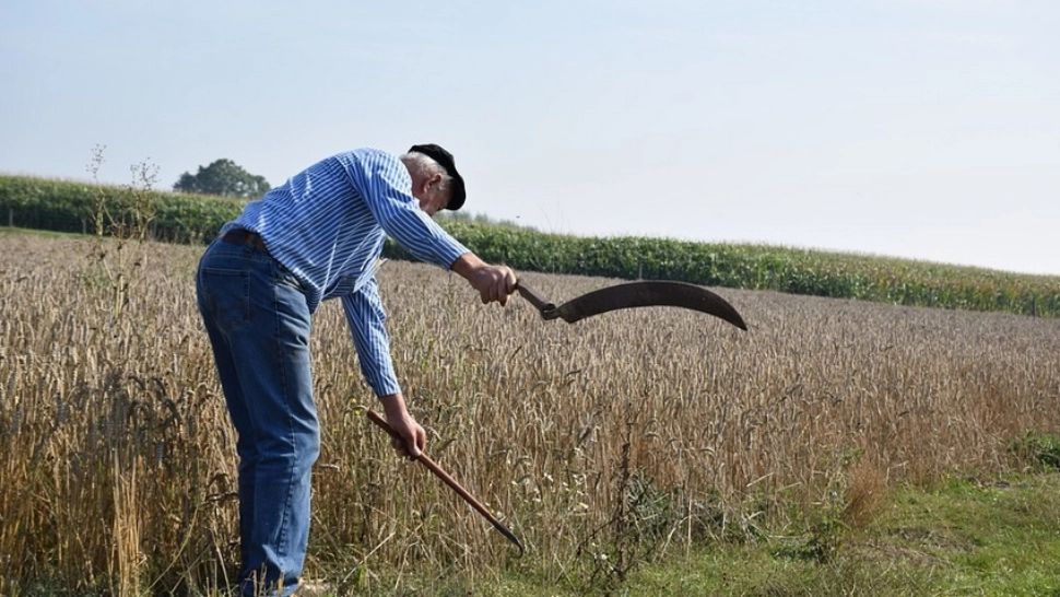 Bătrân judecat pentru uciderea unui tânăr de 32 de ani, declarat nevinovat: "Victima a intrat, practic, în coasă"