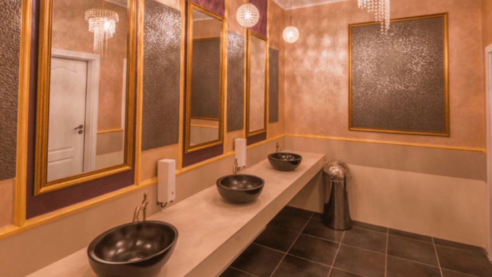 Cât costă WC-urile Băncii Naționale a României? Suma FABULOASĂ din contract 