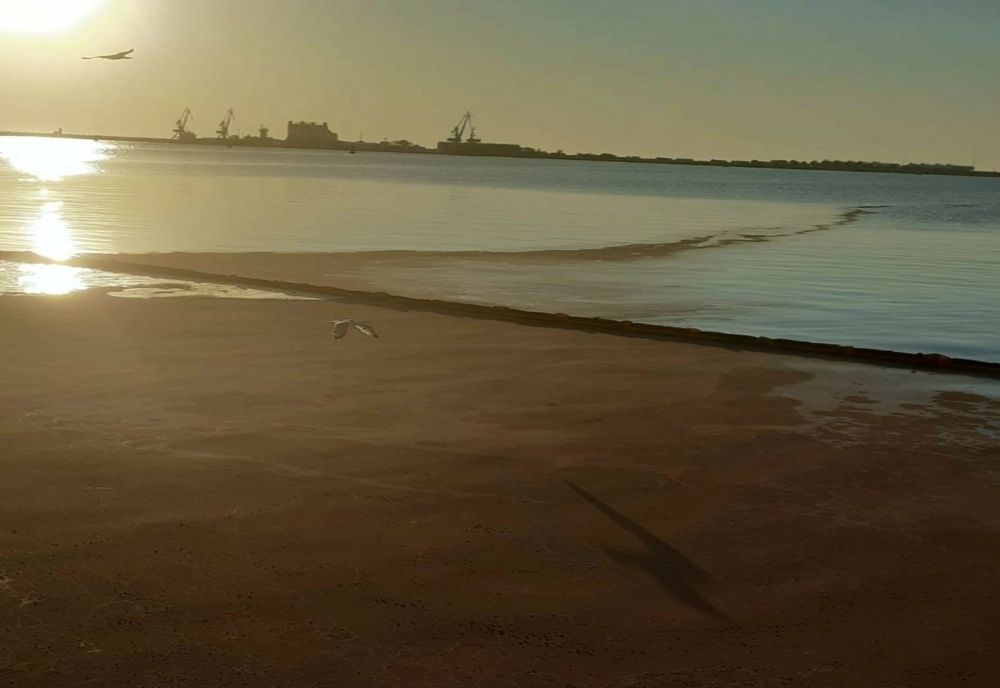 FOTO/ VIDEO Amendă în valoare de 30.000 de lei pentru șantierul Naval Damen Mangalia. Ce NEREGULI au găsit reprezentanții Gărzii de Mediu