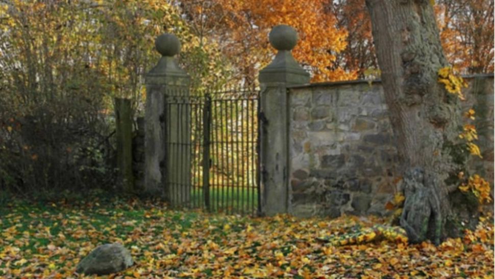 Dacă reușești să găsești FEMEIA din această poză, atunci ai un IQ peste medie. Îţi dai seama unde este?