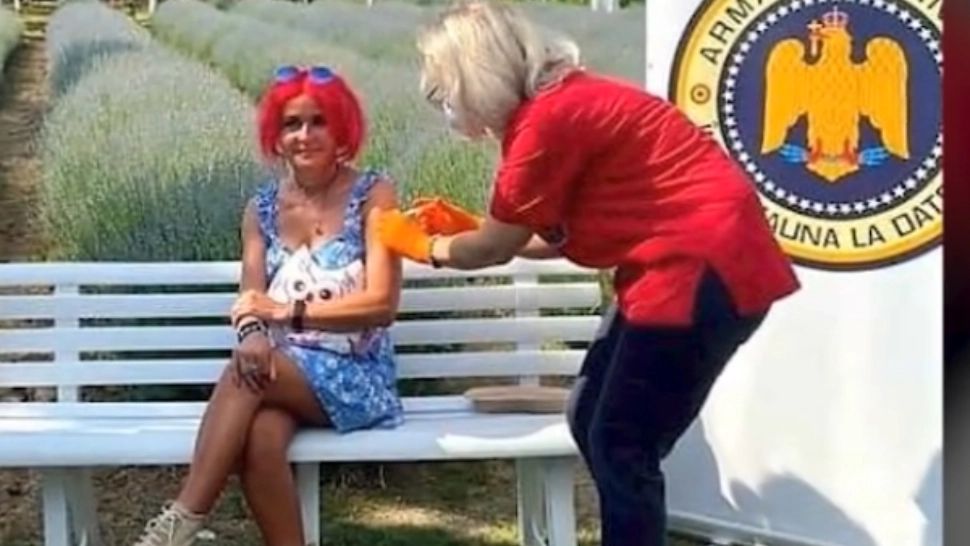 Vaccinare în lanul de lavandă, la Timișoara - Imagini INEDITE