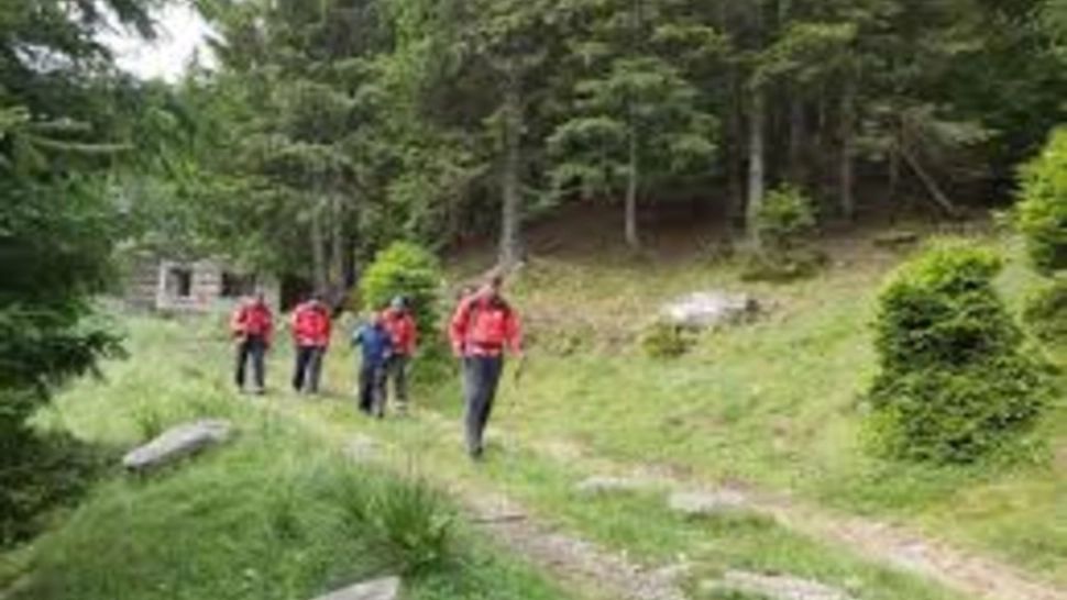Doi adolescenți s-au rătacit în pădure, în timpul unei furtuni puternice! Unde au fost găsiți de salvatori