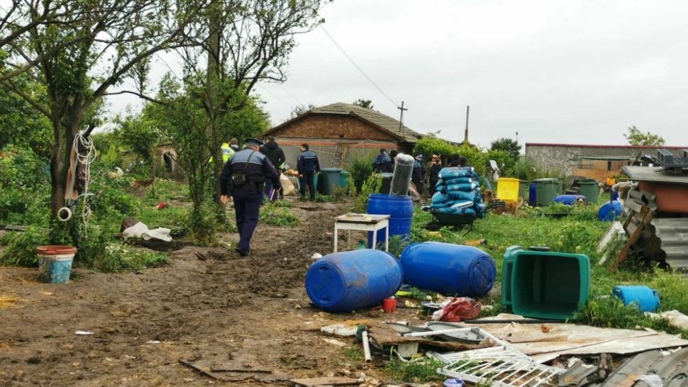 FOTO/VIDEO Percheziții în județul Constanța: 150 de animale ținute într-un adăpost ILEGAL au fost salvate de mascați 