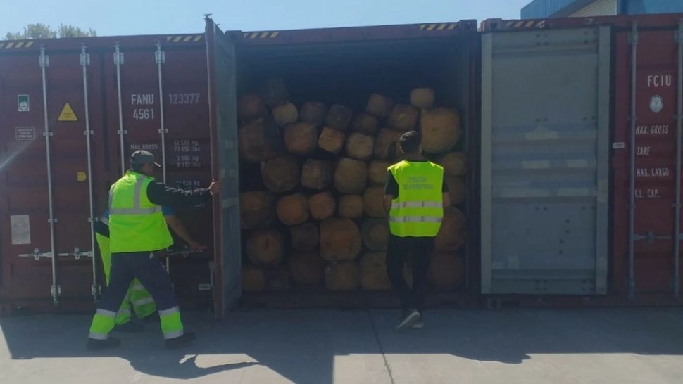  FOTO Patru containere cu buşteni, descoperite în Portul Constanța Sud Agigea. UNDE urma să ajungă transportul