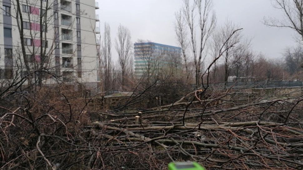 Defrişări ilegale de arbori şi concesionarea ilegală de către sindicatul Metrorex a unui teren domeniu public al statului