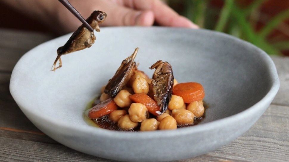 Scandal în Parlament pe proiectul AUR care interzice insectele în alimentație - Ce ne obligă să punem în farfurii