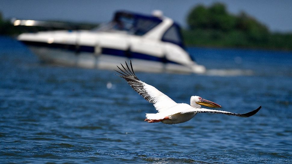 UE verifică banii cheltuiți de România în Deltă - ancheta vizează peste 1 miliard de euro