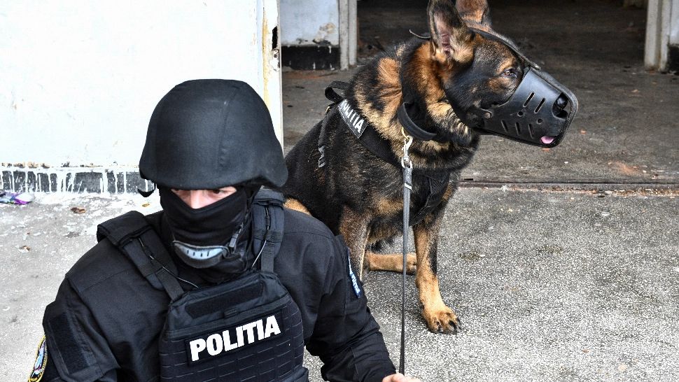 Percheziții la Universitatea "Titu Maiorescu", din Capitală: apartamente din căminul studențesc, vândute ILEGAL