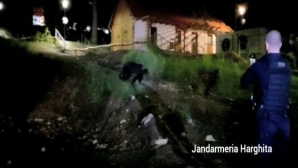 Prezența unui urs, semnalată la un hotel din Băile Tuşnad. S-a emis mesaj RO-ALERT