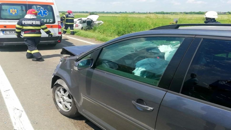  Trei cai nesupravegheaţi, morţi într-un accident rutier, în Prahova