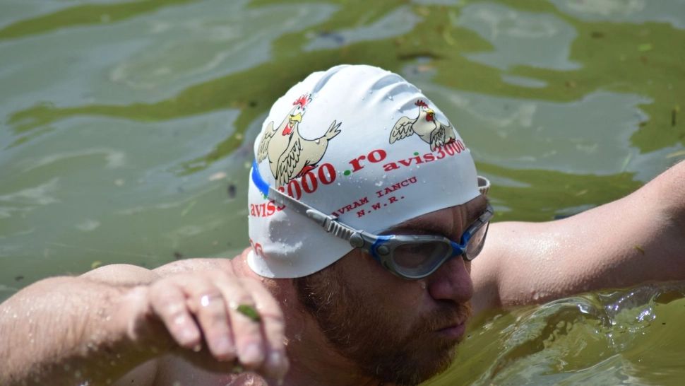 Sportivul Avram Iancu înoată fără oprire 12 ore, pe Bega, în pregătirile pentru doborârea recordului mondial de 67 de ore