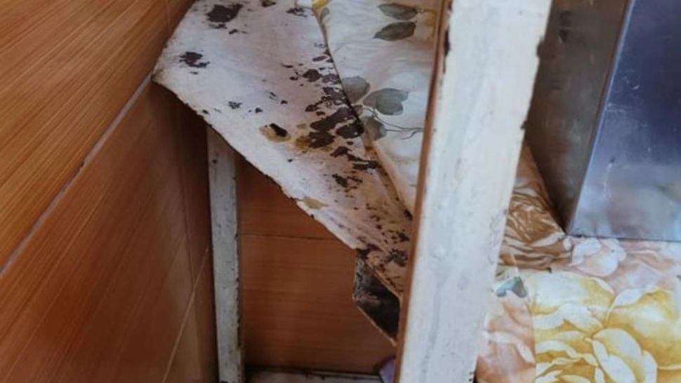 FOTO + VIDEO imagini revoltătoare, focar de infecție într-o brutărie din Brașov